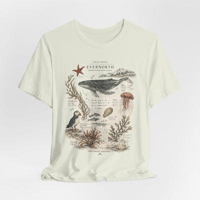 Ocean Wildlife Illustration Tee, Vintage Whale & Sea Creatures Graphic Shirt, product photo, nature-inspired coastal graphic tee by Evernorth Design
